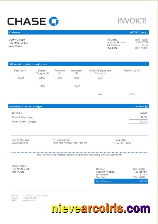 USA Chase invoice